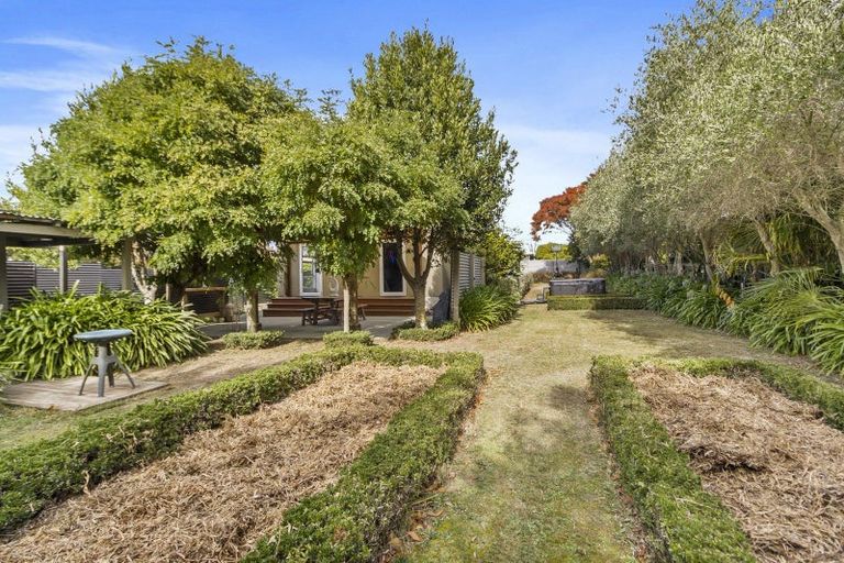 Photo of property in 58 Harris Street, Pleasant Point, 7903