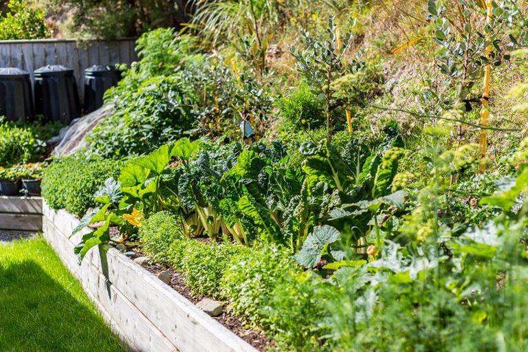 Photo of property in 22 Ships Cove, Whitby, Porirua, 5024