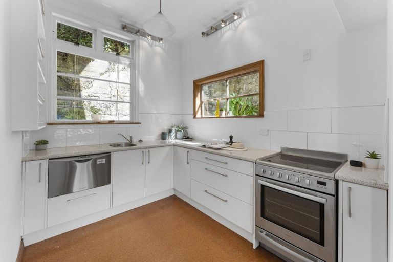 Photo of property in 4 Essex Street, Aro Valley, Wellington, 6021