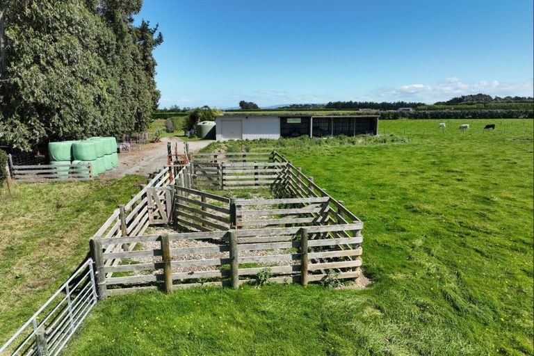 Photo of property in 693 Ryal Bush Wallacetown Road, Wallacetown, Invercargill, 9874