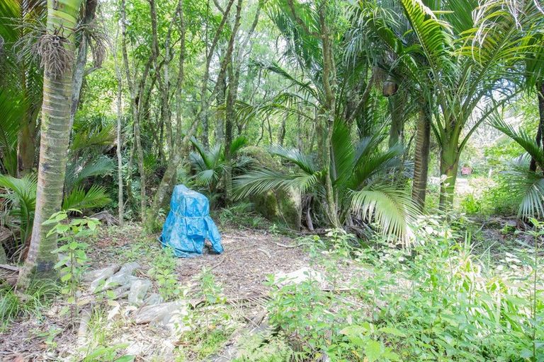 Photo of property in 12 Hartmount Place, Te Miko, Punakaiki, 7871