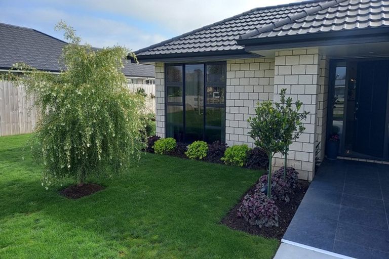 Photo of property in 31 Banks Road, Matamata, 3400