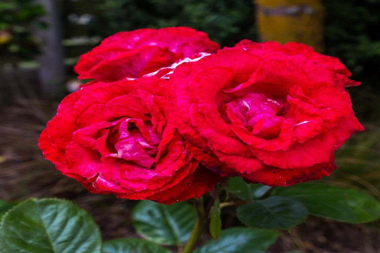 Photo of property in 2/24 Robinson Terrace, Rangatira Park, Taupo, 3330