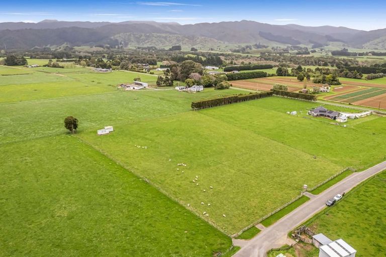 Photo of property in 291a Kimberley Road, Levin, 5571