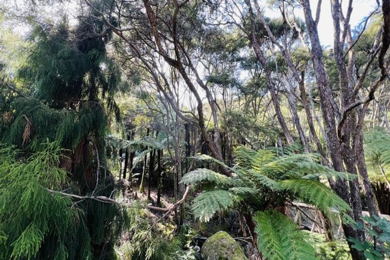 Photo of property in 600 Buffalo Road, Coromandel, 3506