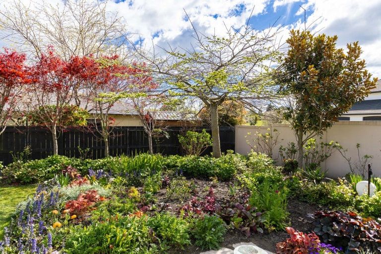 Photo of property in 33 Elmwood Avenue, Witherlea, Blenheim, 7201