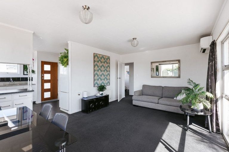 Photo of property in 41 Concord Avenue, Mount Maunganui, 3116