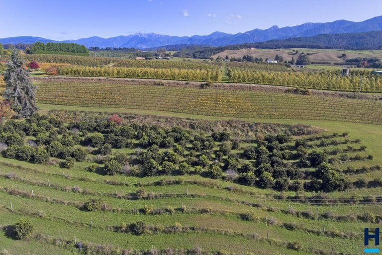 Photo of property in 196 Holdaway Road, Lower Moutere, Upper Moutere, 7175