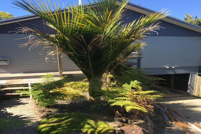 Photo of property in 25 Shortland Street, Regent, Whangarei, 0112