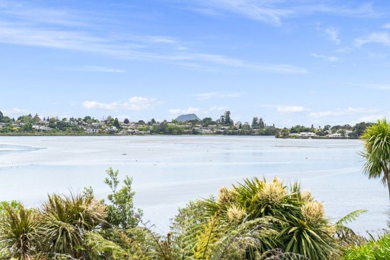 Photo of property in 117 Haukore Street, Hairini, Tauranga, 3112