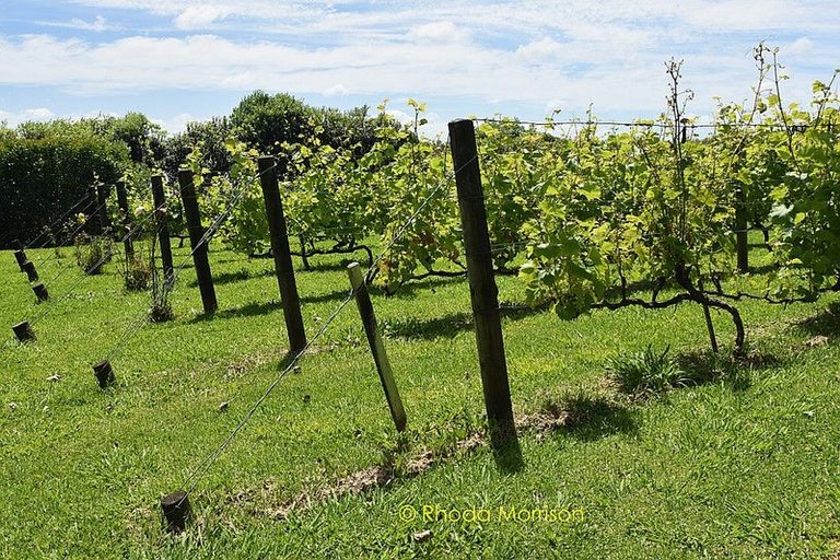 Photo of property in 245 Metcalfe Road, Matakohe, 0593