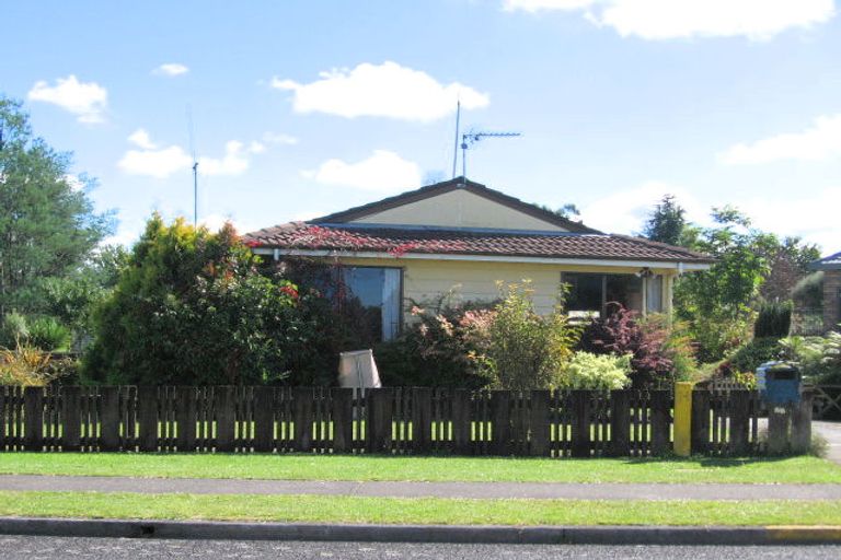 Photo of property in 21 Matai Crescent, Putaruru, 3411
