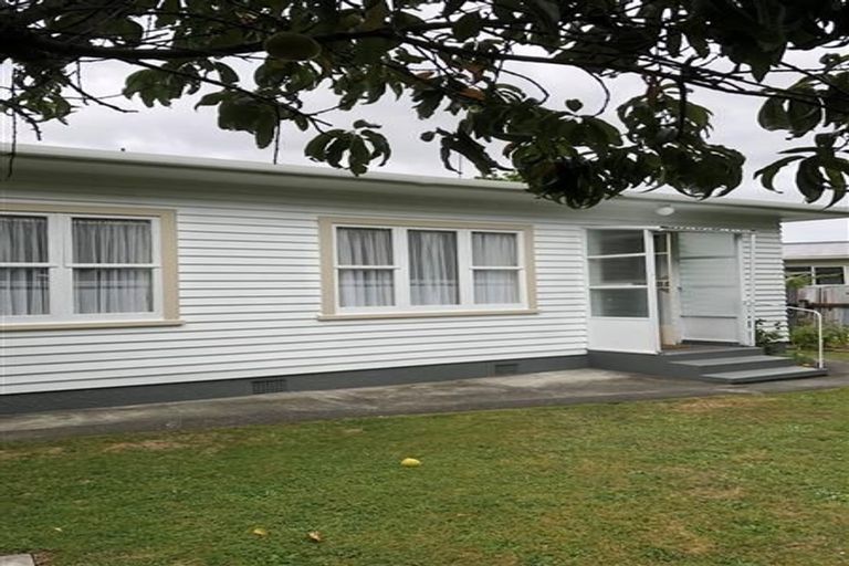 Photo of property in 7 Windsor Place, Levin, 5510