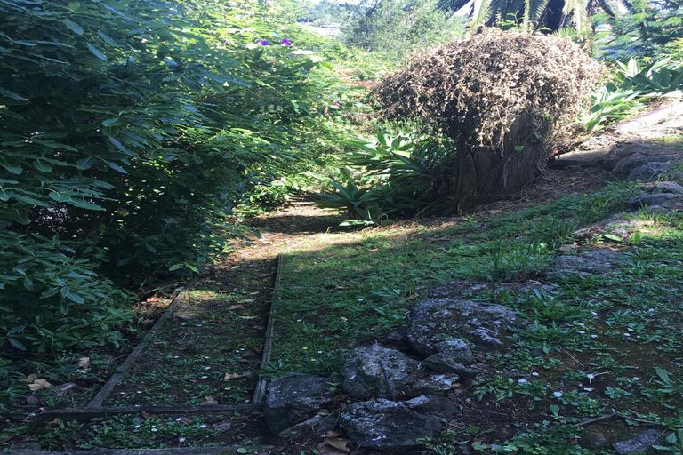 Photo of property in 25 Shortland Street, Regent, Whangarei, 0112