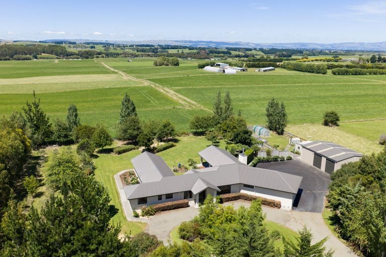 Photo of property in 572 Taonui Road, Colyton, Feilding, 4775