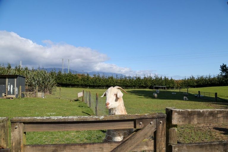 Photo of property in 103 Alma Road, Westport, 7892