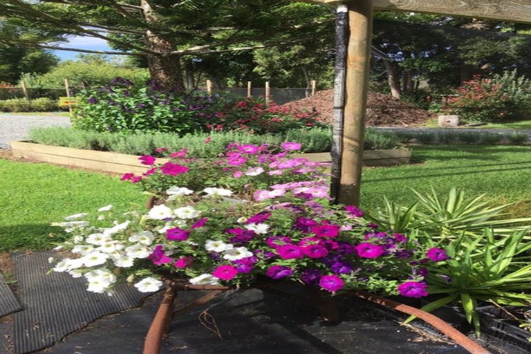 Photo of property in 70 Parore Street, Parore, Dargaville, 0372