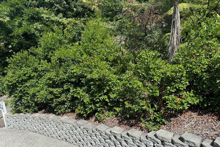 Photo of property in 21 Kings Road, Paihia, 0200