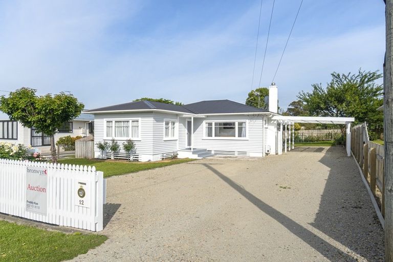 Photo of property in 12 Elm Street, Mangapapa, Gisborne, 4010