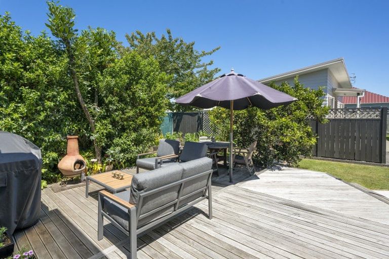 Photo of property in 45 Bedford Road, Marewa, Napier, 4110