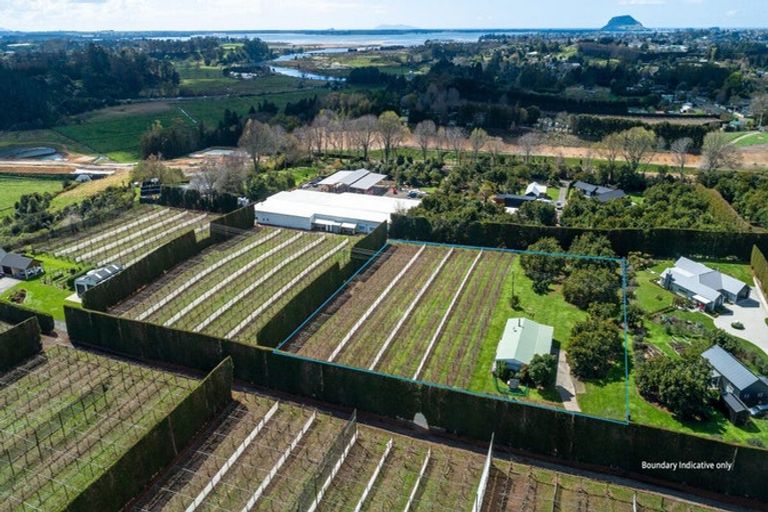 Photo of property in 154b Wairoa Road, Minden, Tauranga, 3171