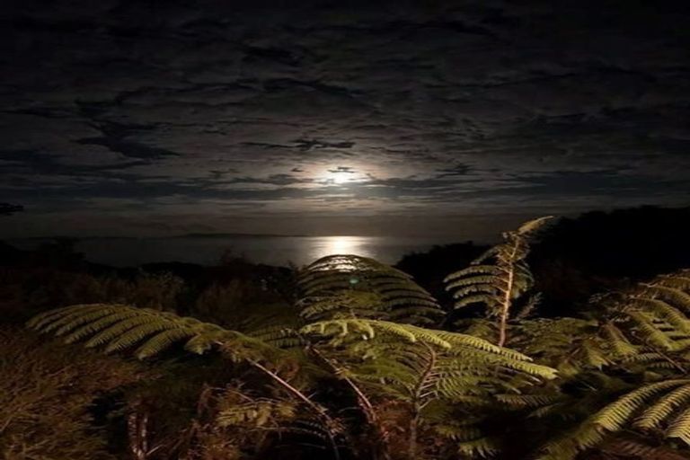 Photo of property in 56 Waihirere Drive, Tuateawa, Coromandel, 3583