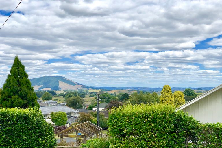 Photo of property in 290 Douglas Avenue, Te Awamutu, 3800