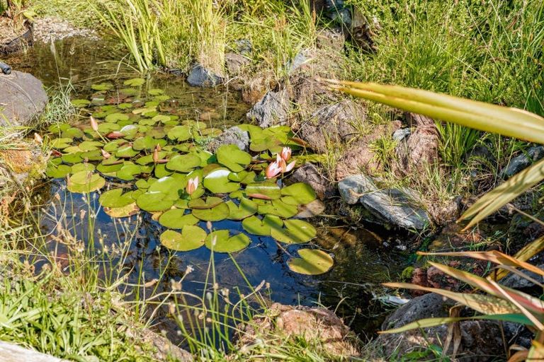 Photo of property in 38 Upland Road, Huia, Auckland, 0604