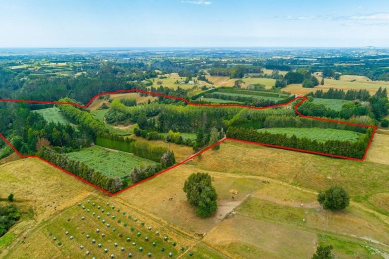 Photo of property in 866 No 2 Road, Te Ranga, Te Puke, 3182