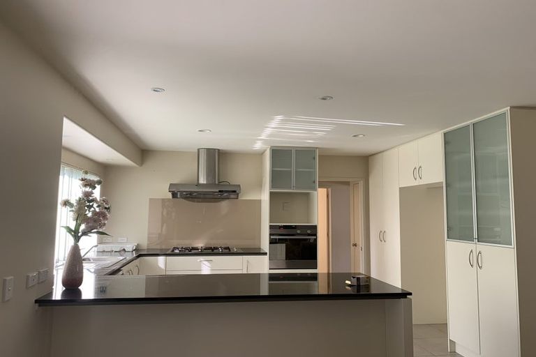 Photo of property in 3 Kouras Place, Flat Bush, Auckland, 2016