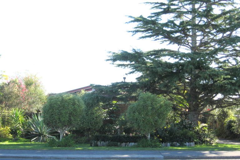 Photo of property in 131 Dominion Road, Papakura, 2110