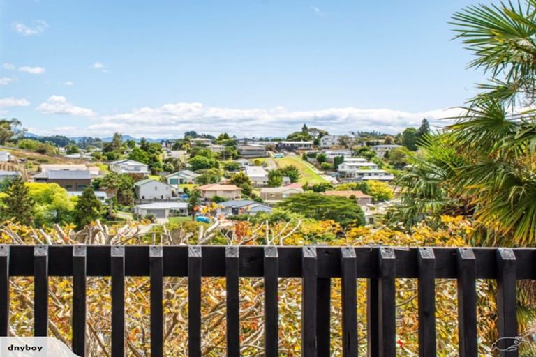 Photo of property in 1139 Cameron Road, Gate Pa, Tauranga, 3112