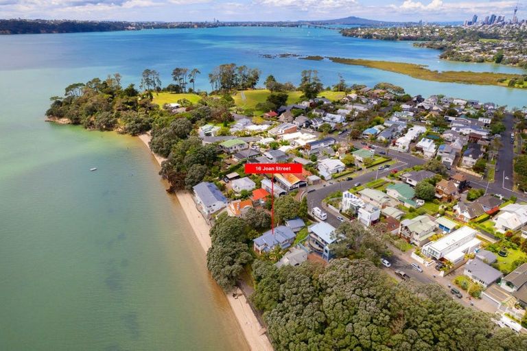 Photo of property in 16 Joan Street, Point Chevalier, Auckland, 1022