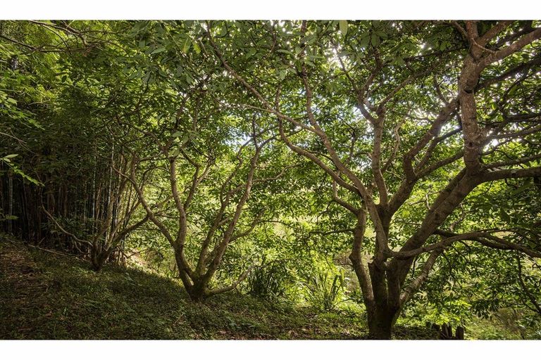 Photo of property in 56 Colville Road, Dargaville, 0310