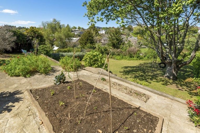 Photo of property in 11 Clifton Terrace, Brookfield, Tauranga, 3110