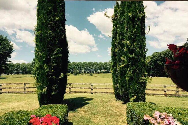 Photo of property in 143 Tirau Road, Cambridge, 3496