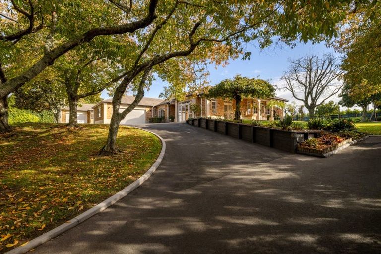 Photo of property in 16 Elder Lane, Bethlehem, Tauranga, 3110