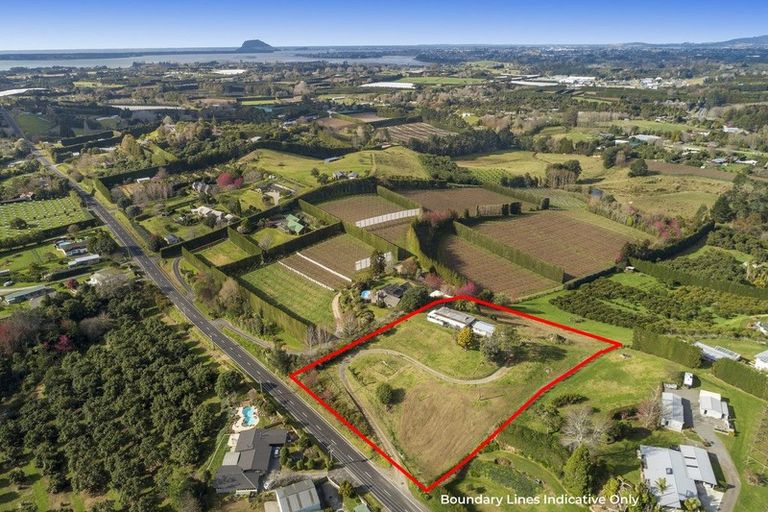 Photo of property in 14 Snodgrass Road, Te Puna, Tauranga, 3174