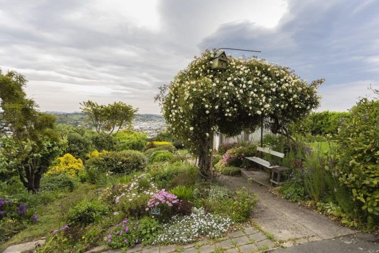 Photo of property in 10 Tamar Street, South Hill, Oamaru, 9400