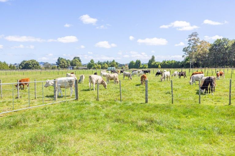 Photo of property in 78 Higginson Road, Ngahinapouri, Hamilton, 3290