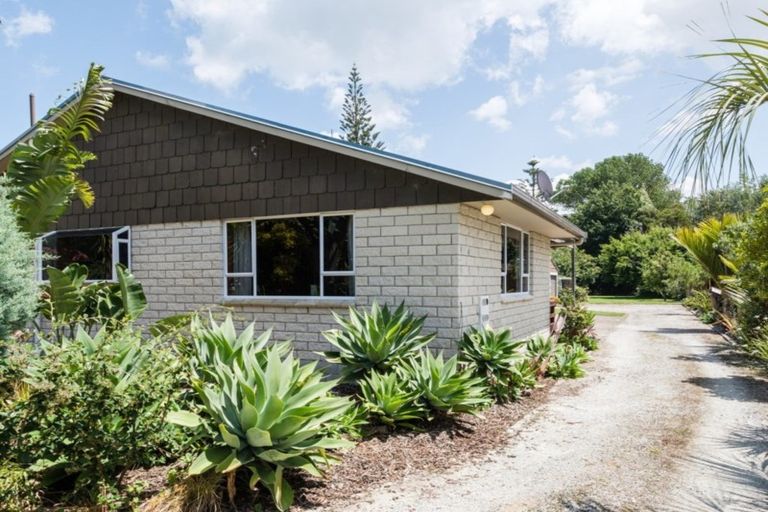 Photo of property in 44 Lysnar Street, Okitu, Gisborne, 4010