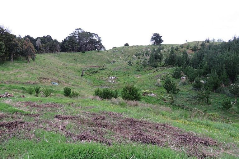 Photo of property in 289 Franklin Road, Paparoa, 0571