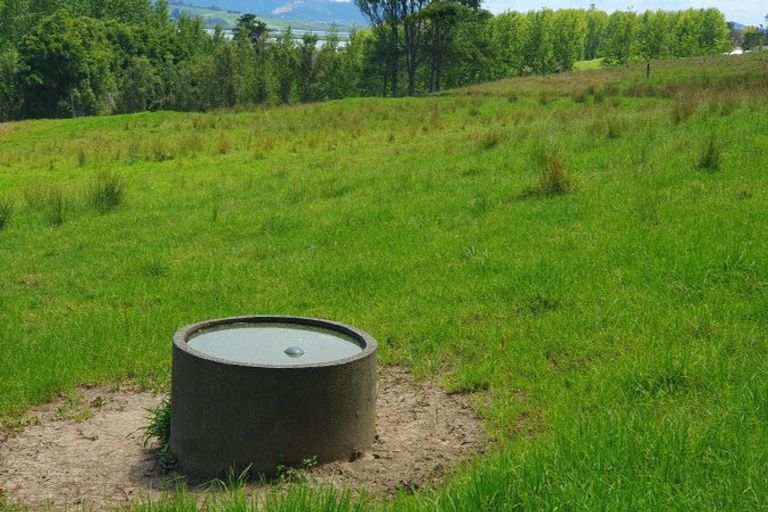 Photo of property in 237 Hewlett Road, Mata, Whangarei, 0171