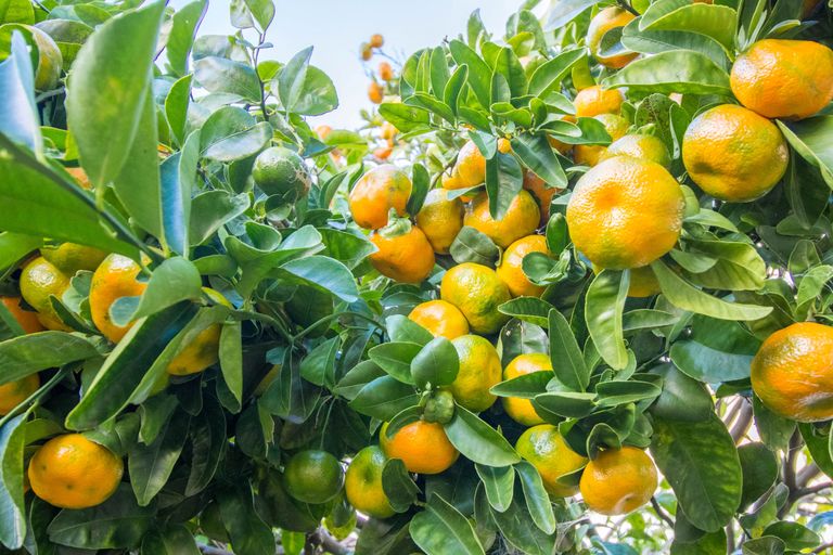 Photo of property in 1b Milton Road, Orewa, 0931