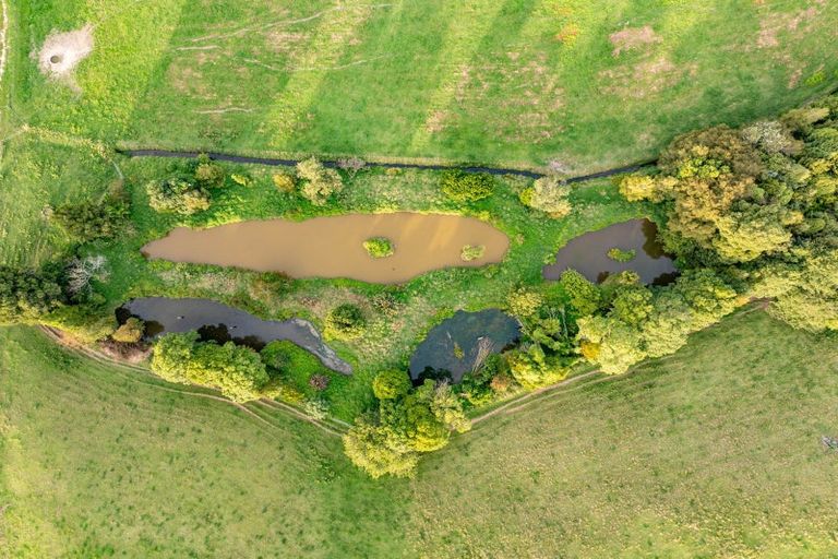 Photo of property in 624 Ryburn Road, Ohaupo, 3883