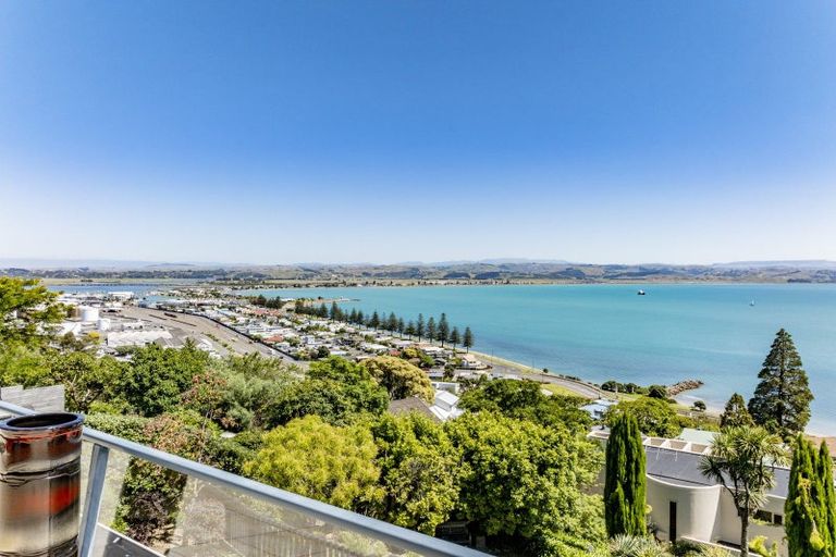 Photo of property in 157 Thompson Road, Bluff Hill, Napier, 4110