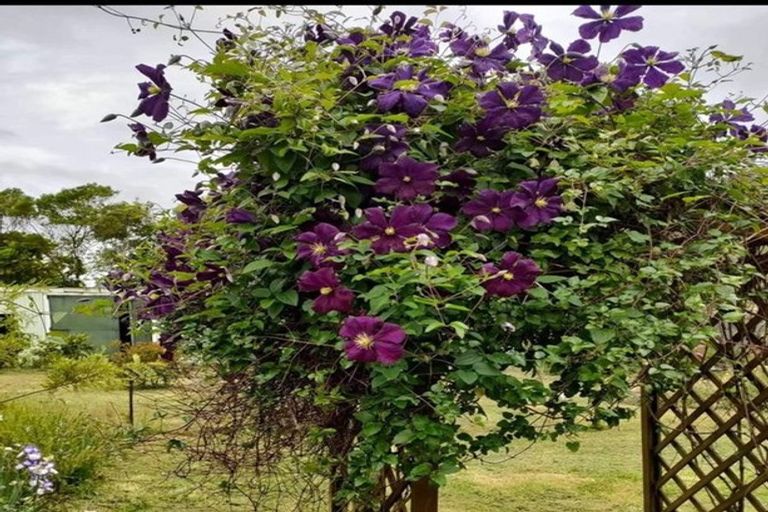 Photo of property in 7 Greenfield Street, Hector, 7822