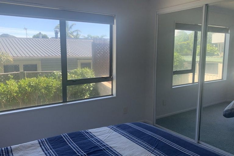 Photo of property in 26b Campbell Road, Mount Maunganui, 3116
