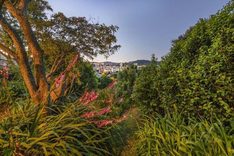 Photo of property in 43 Austin Street, Mount Victoria, Wellington, 6011