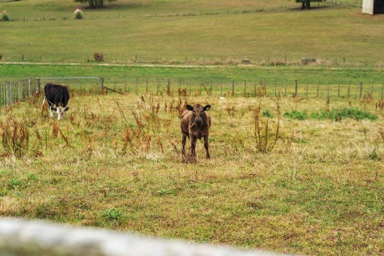 Photo of property in 1667 Tahuna Road, Te Hoe, Ohinewai, 3784